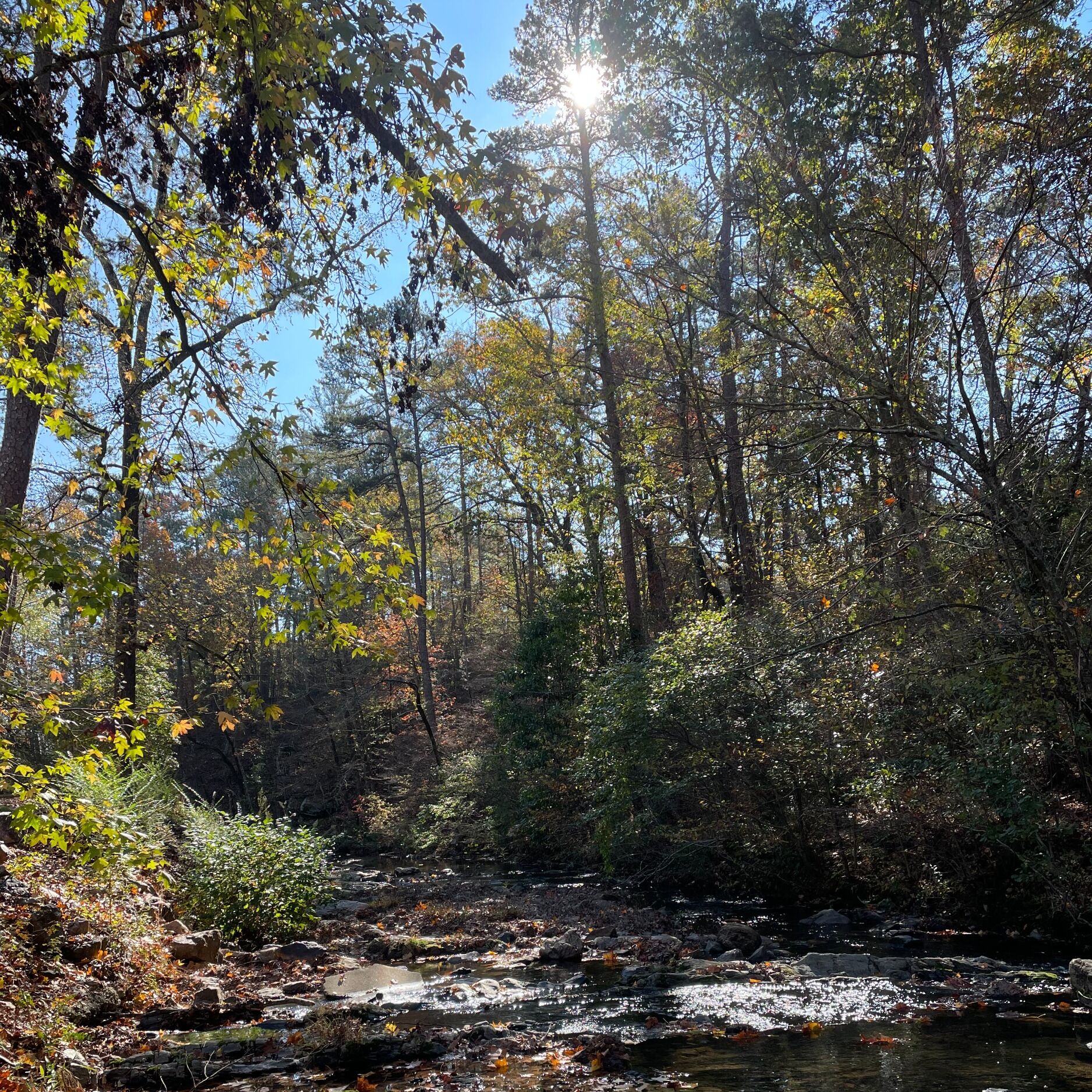 Picture of Northwood Trails 