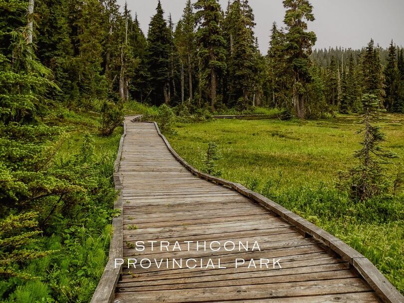 Picture of 5️⃣ Explore Strathcona Provincial Park