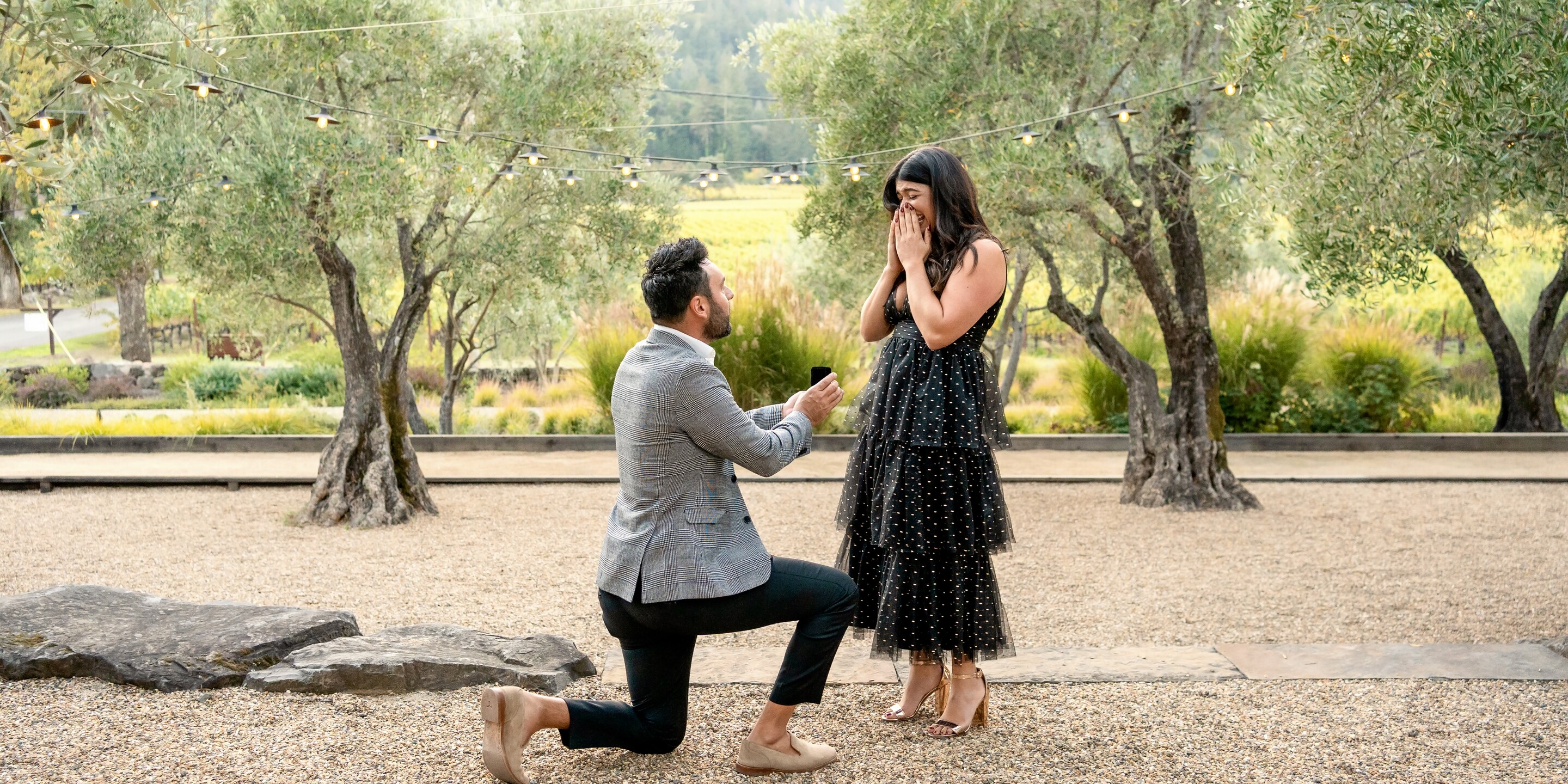 Matt & Mikala Home Page Banner