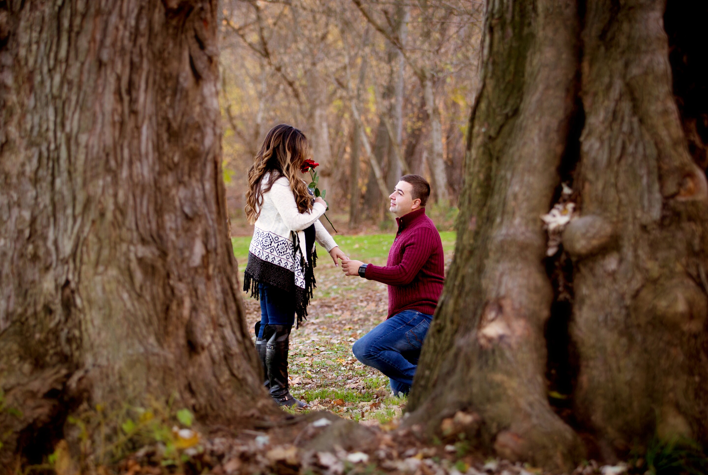 Angie & Miroslav Home Page Banner
