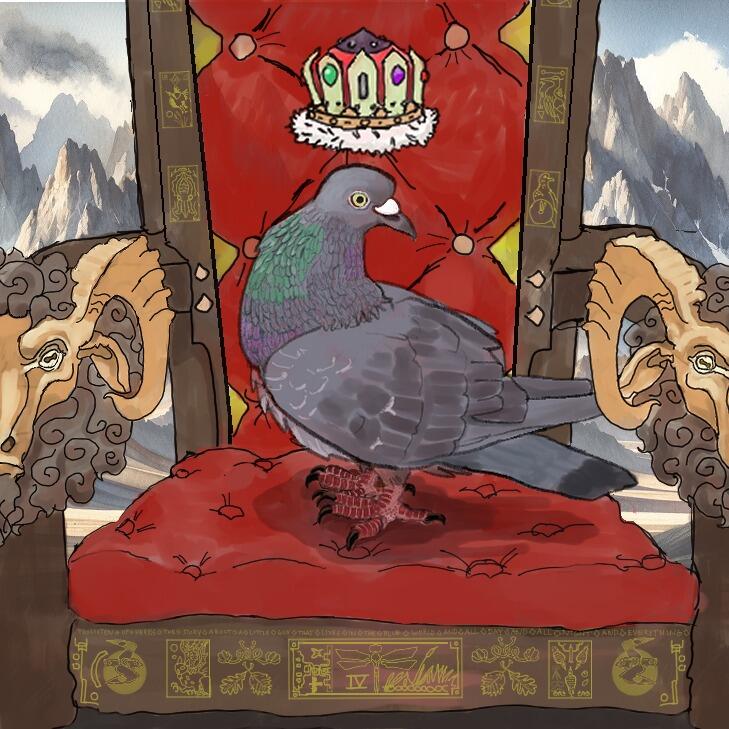 Picture of Zach Kline | Table 1 Rock Dove
