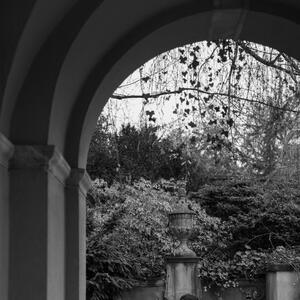 Gallery Photo 55