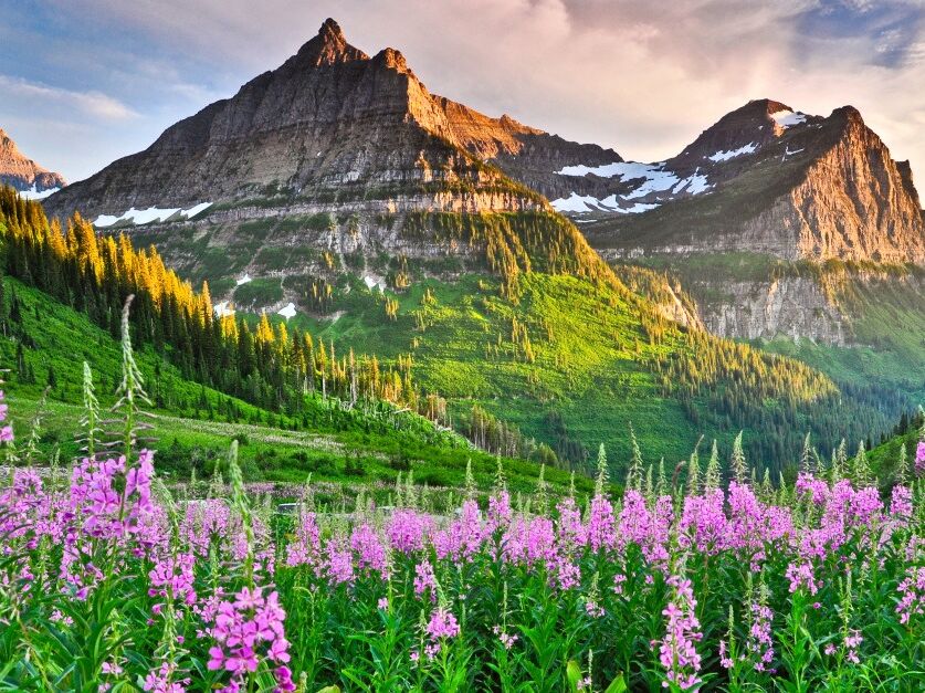 Picture of Glacier National Park
