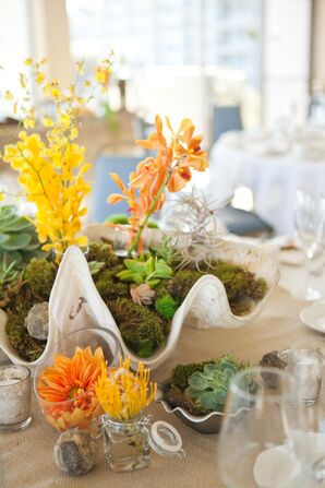 Seashell Centerpiece