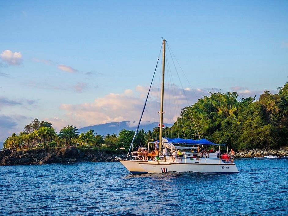 Picture of Boat Tour