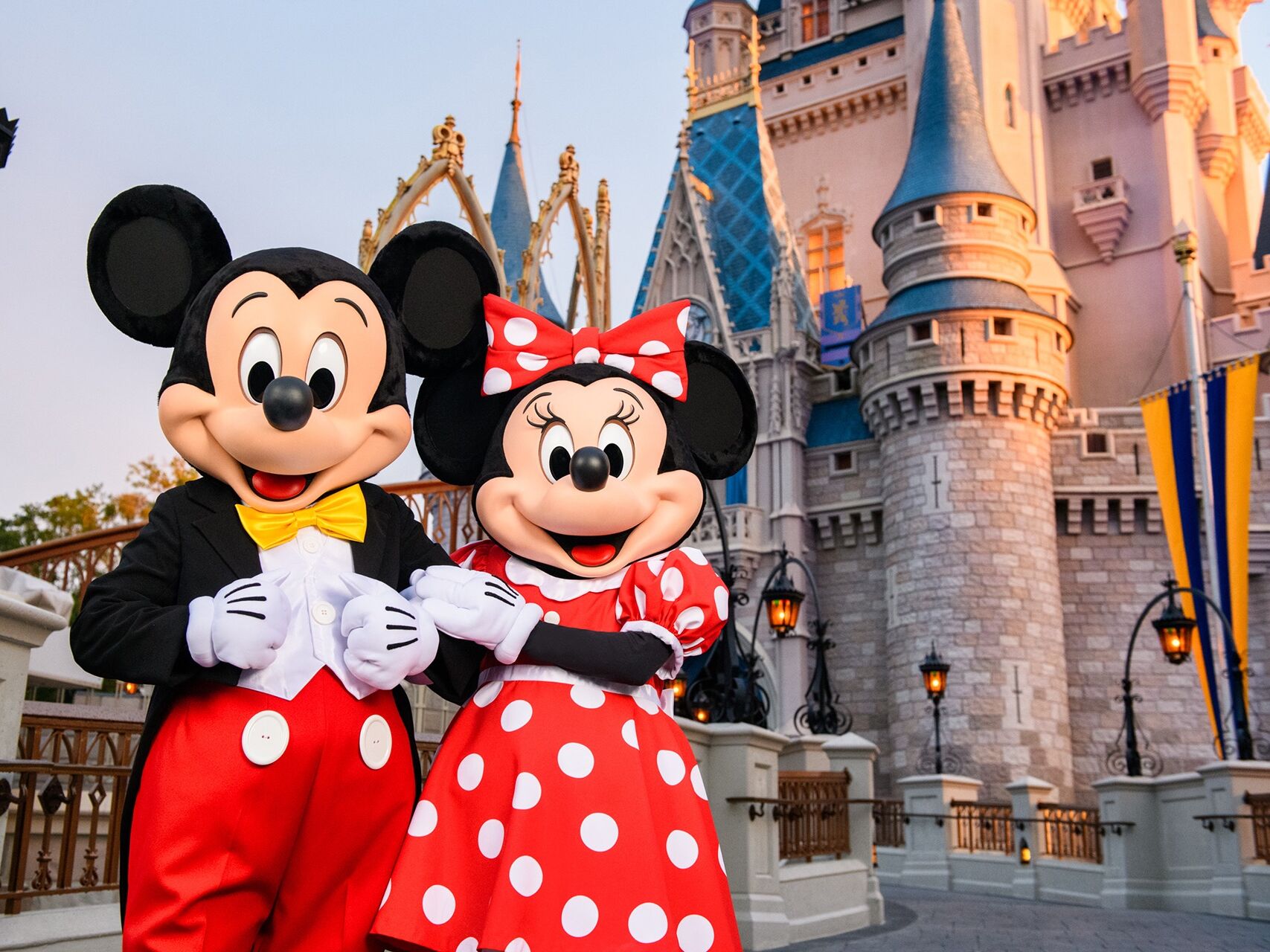 Picture of Walt Disney World® Resort