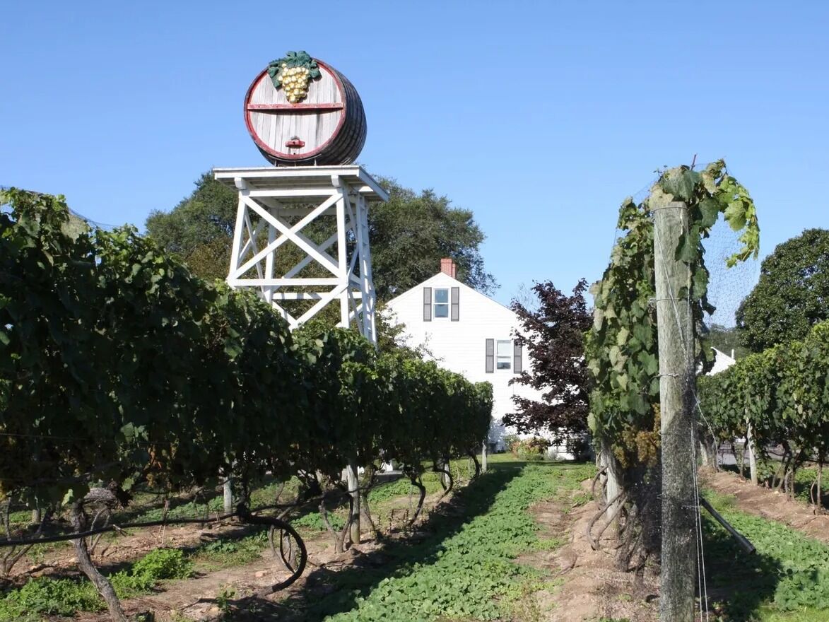 Picture of Truro Vineyards