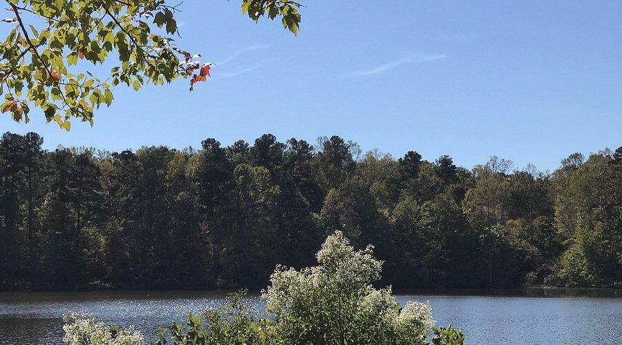 Picture of William B. Umstead State Park