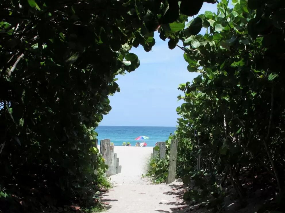 Picture of Stuart Beach