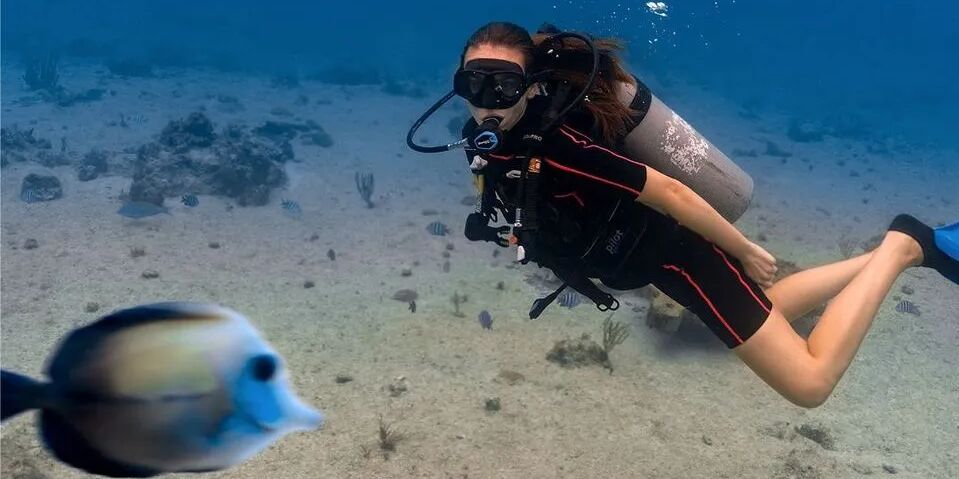 Picture of Open Water Certificate 