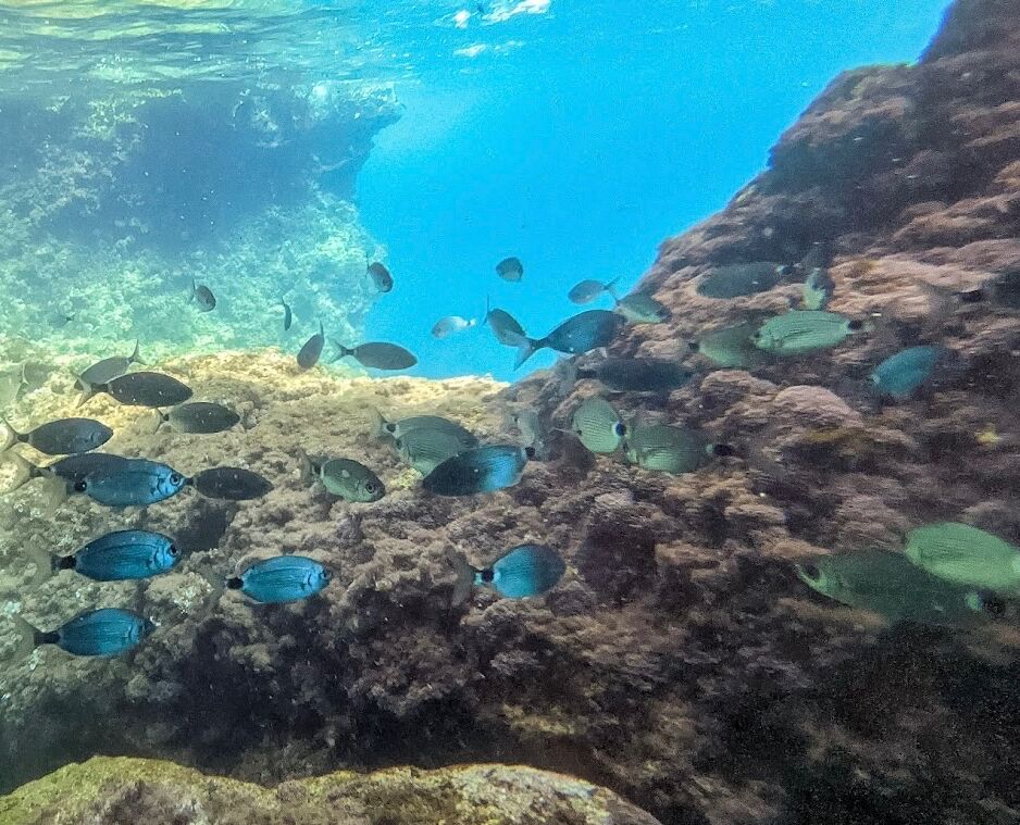 Picture of The Blue Eye Cave