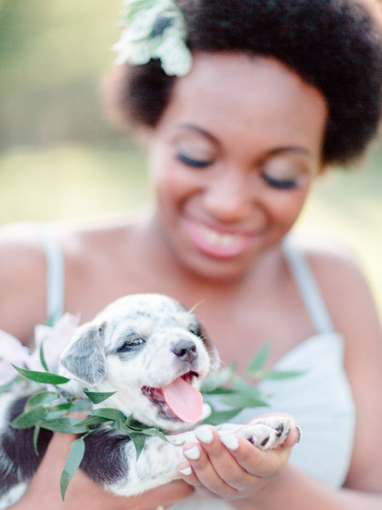 rescue puppy wedding bouquet alternative