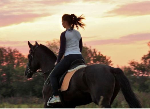 Picture of Horseback Riding - $35 to $55