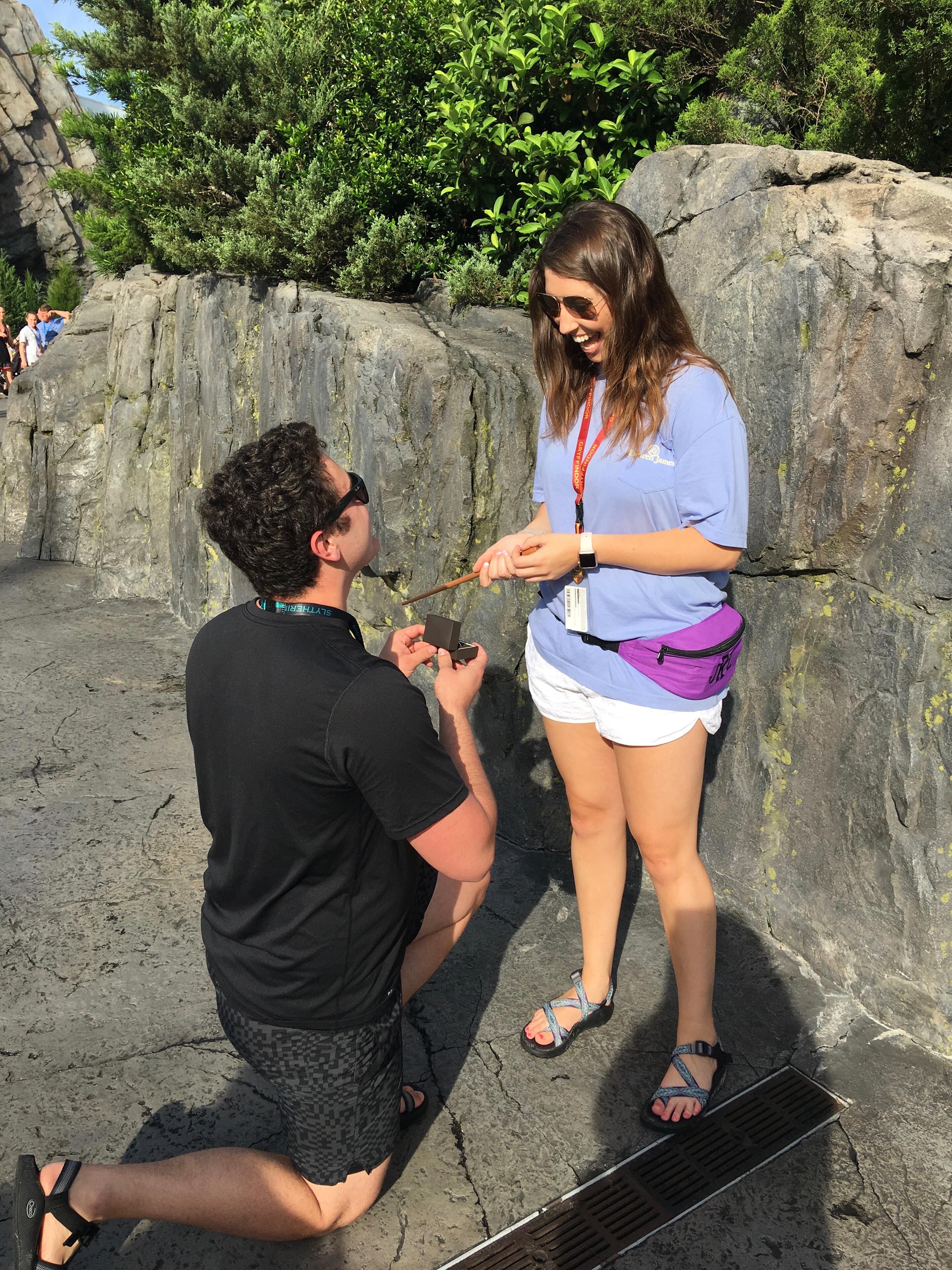 Picture of The Proposal