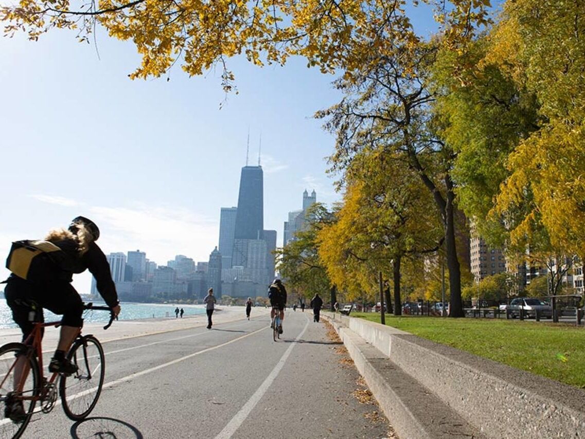 Picture of The Lakefront Trail