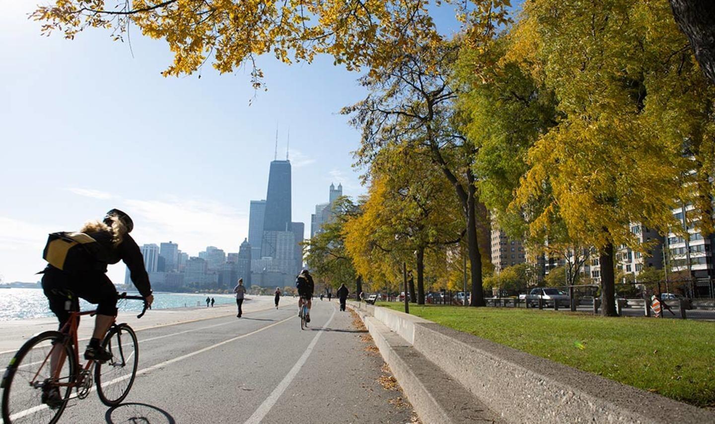 Picture of The Lakefront Trail