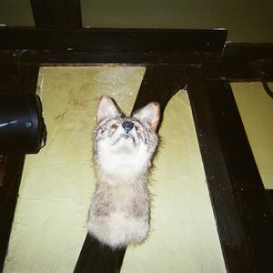 Gallery Photo 143