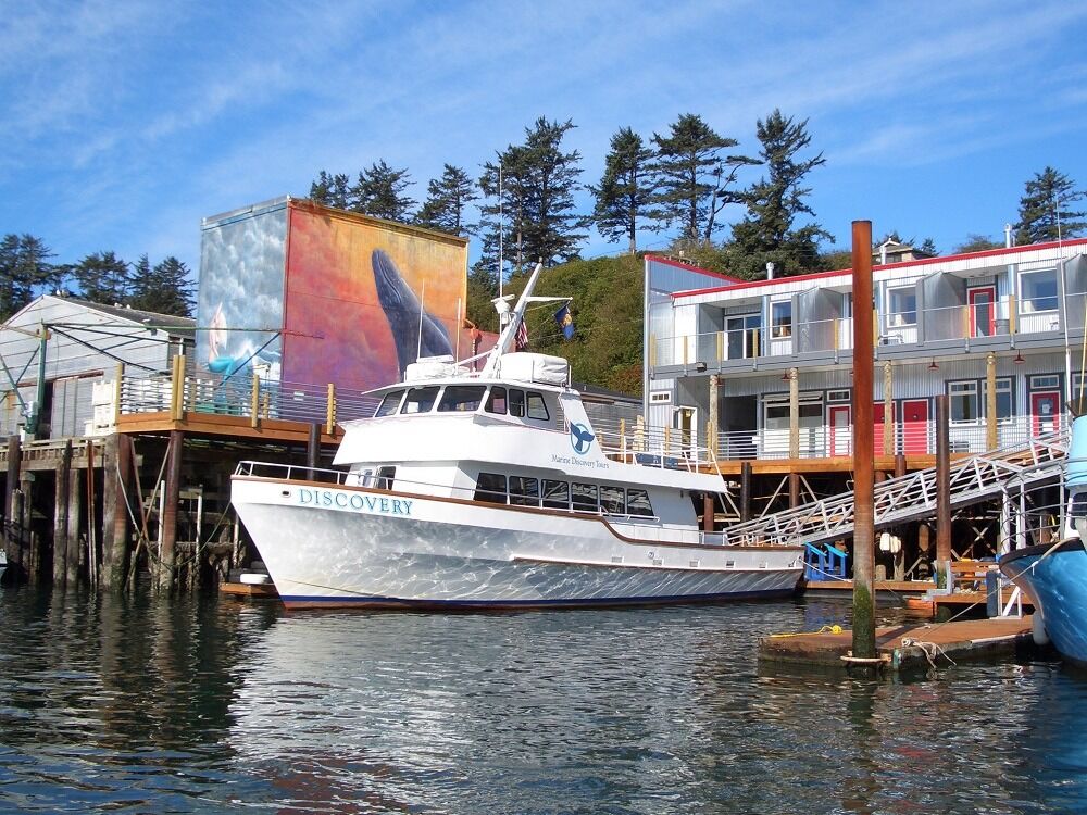 Picture of Marine Discovery Tours