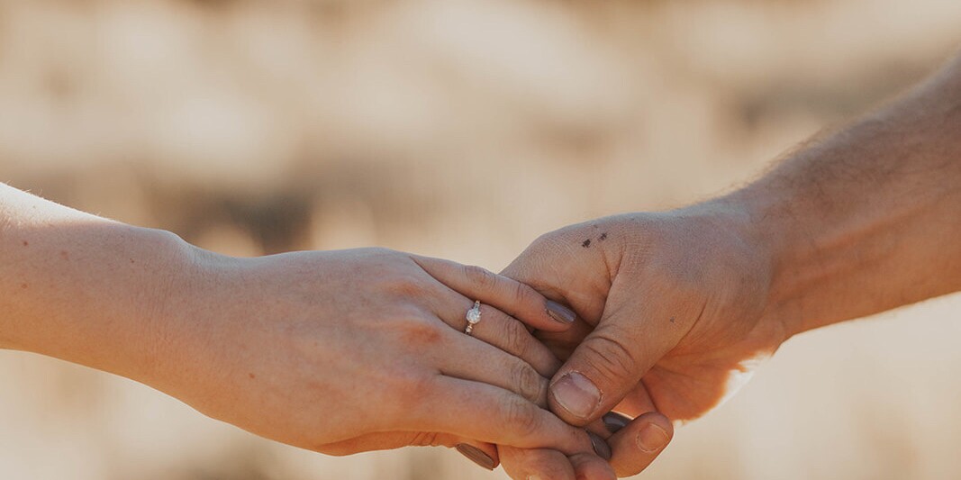 Taylor  & Leif  Home Page Banner