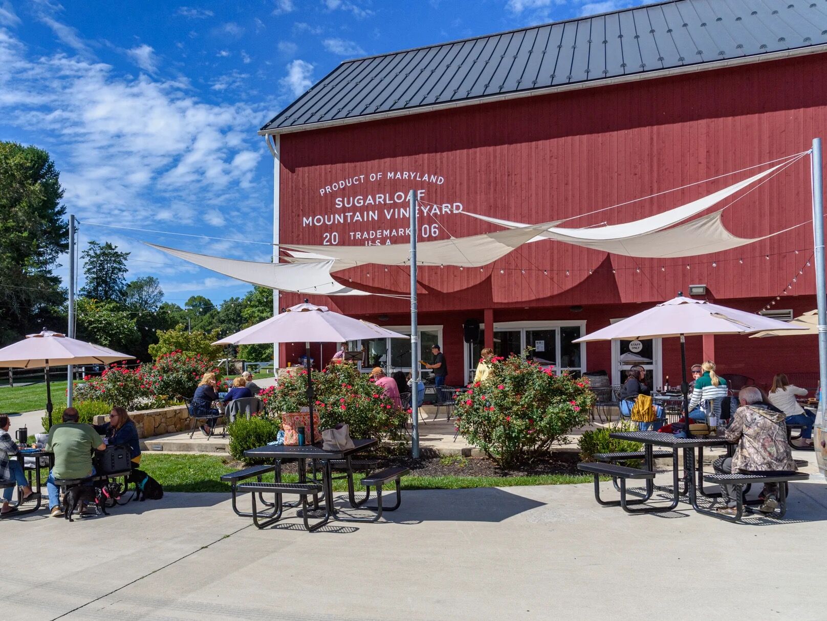 Picture of Sugarloaf Mountain Vineyard