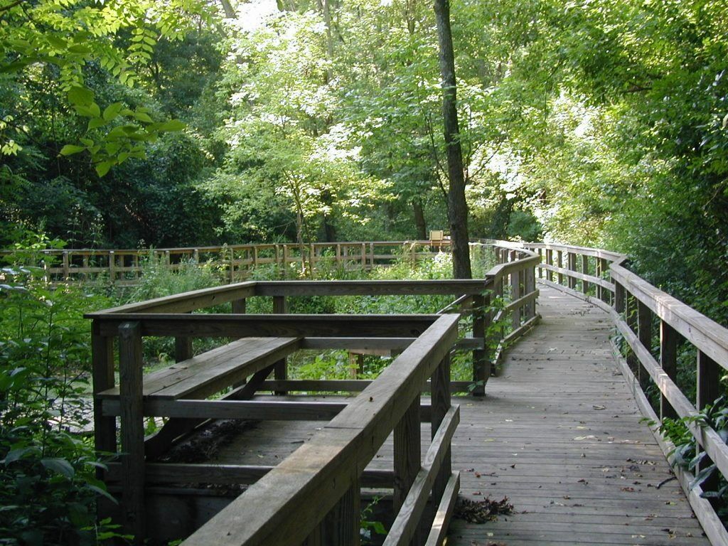 Picture of Wildlands Conservancy