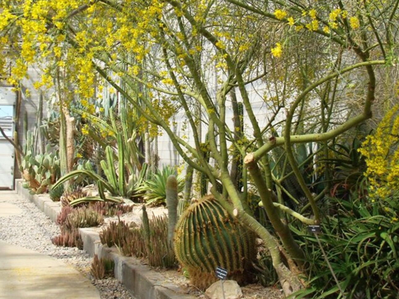 Picture of Living Desert Zoo & Gardens State Park