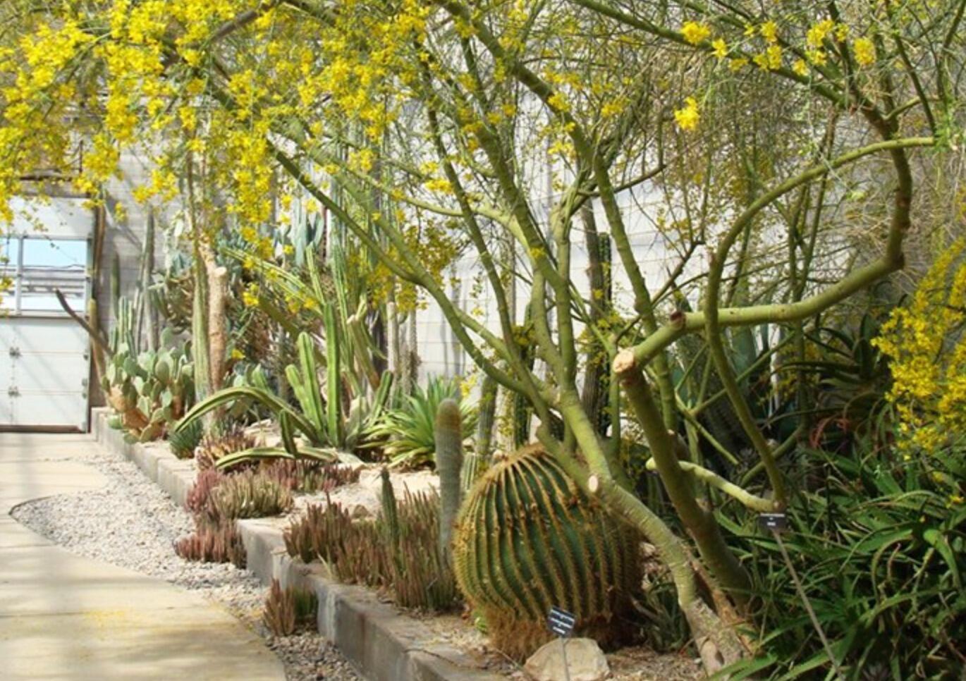 Picture of Living Desert Zoo & Gardens State Park