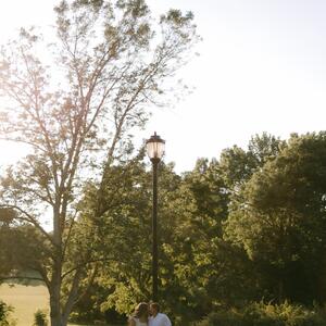 Gallery Photo 26
