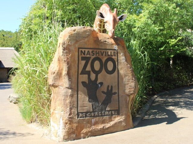 Picture of Nashville Zoo at Grassmere
