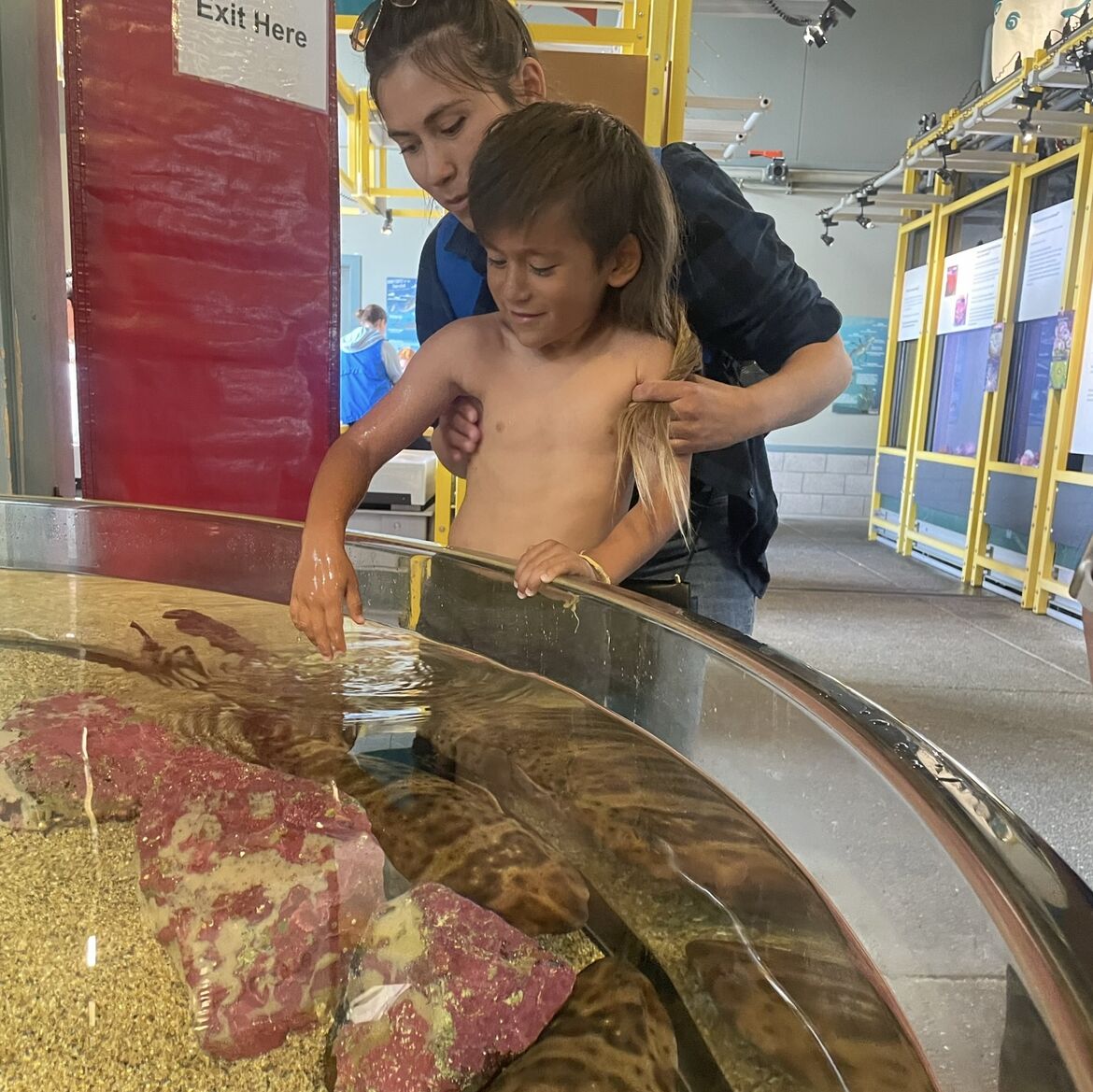 Picture of Seymour Marine Discovery Center