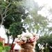 Blush Rose Flower Crown