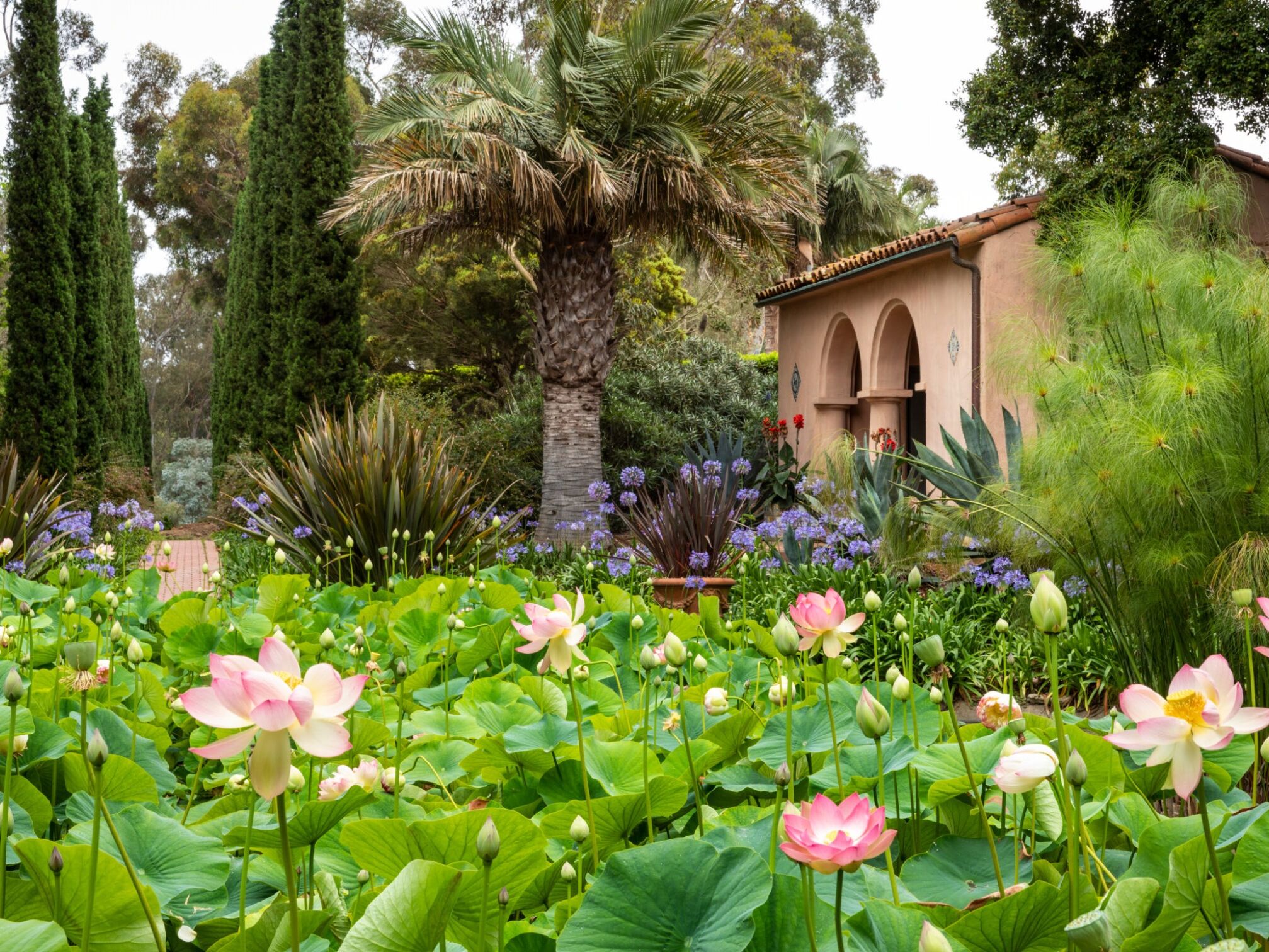 Picture of Lotusland