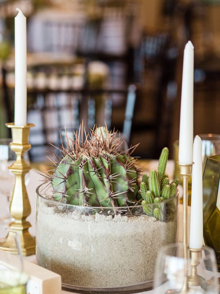 Beautiful round centerpiece filled with sand and a green cactus. 