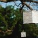 Hanging Lantern Decor