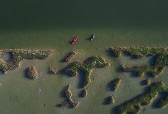 Kayaks out on the water.