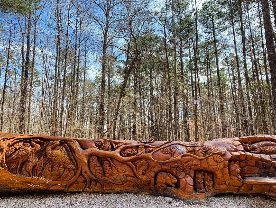 Picture of William B. Umstead State Park