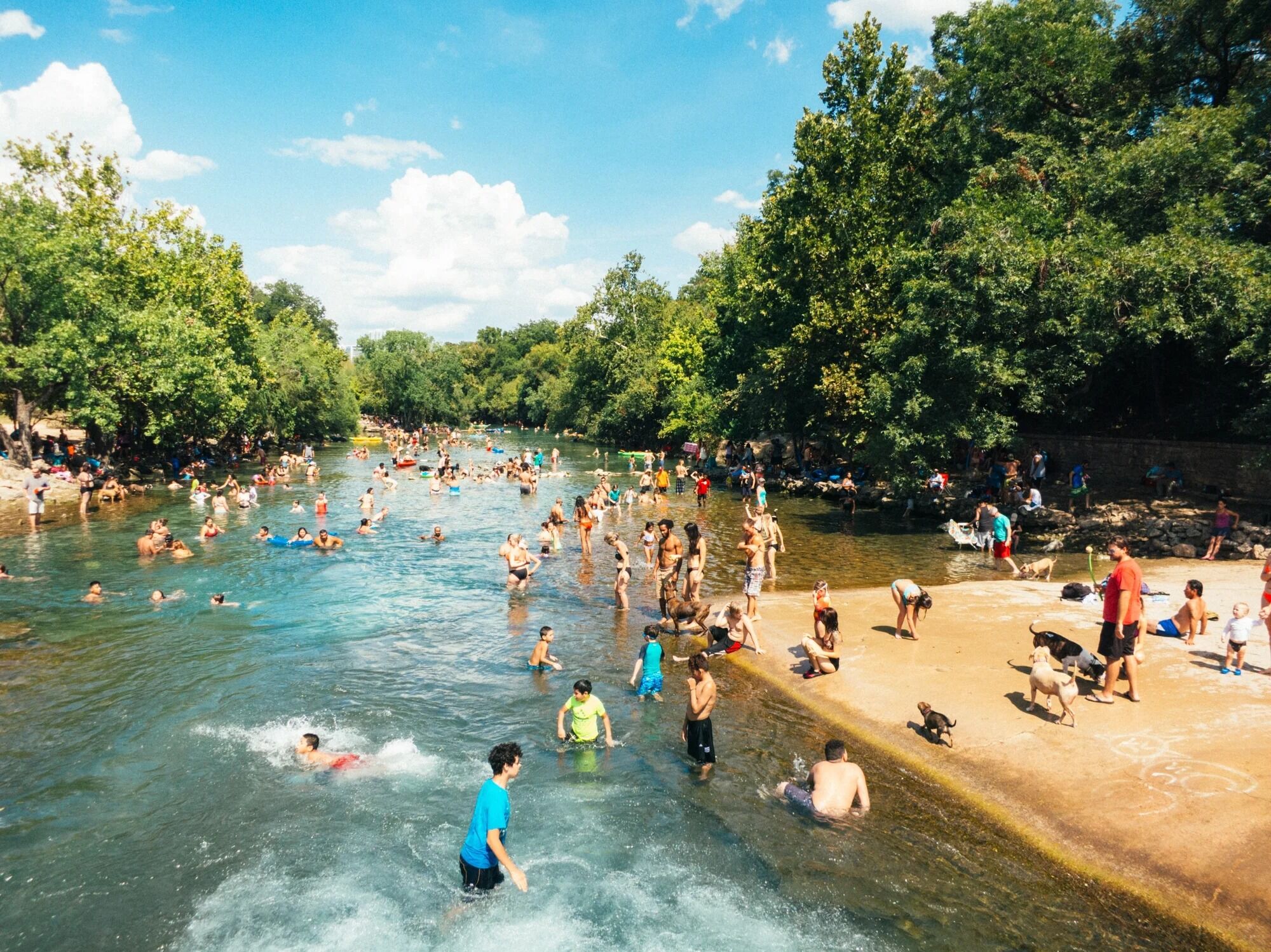 Picture of Barton Springs Municipal Pool