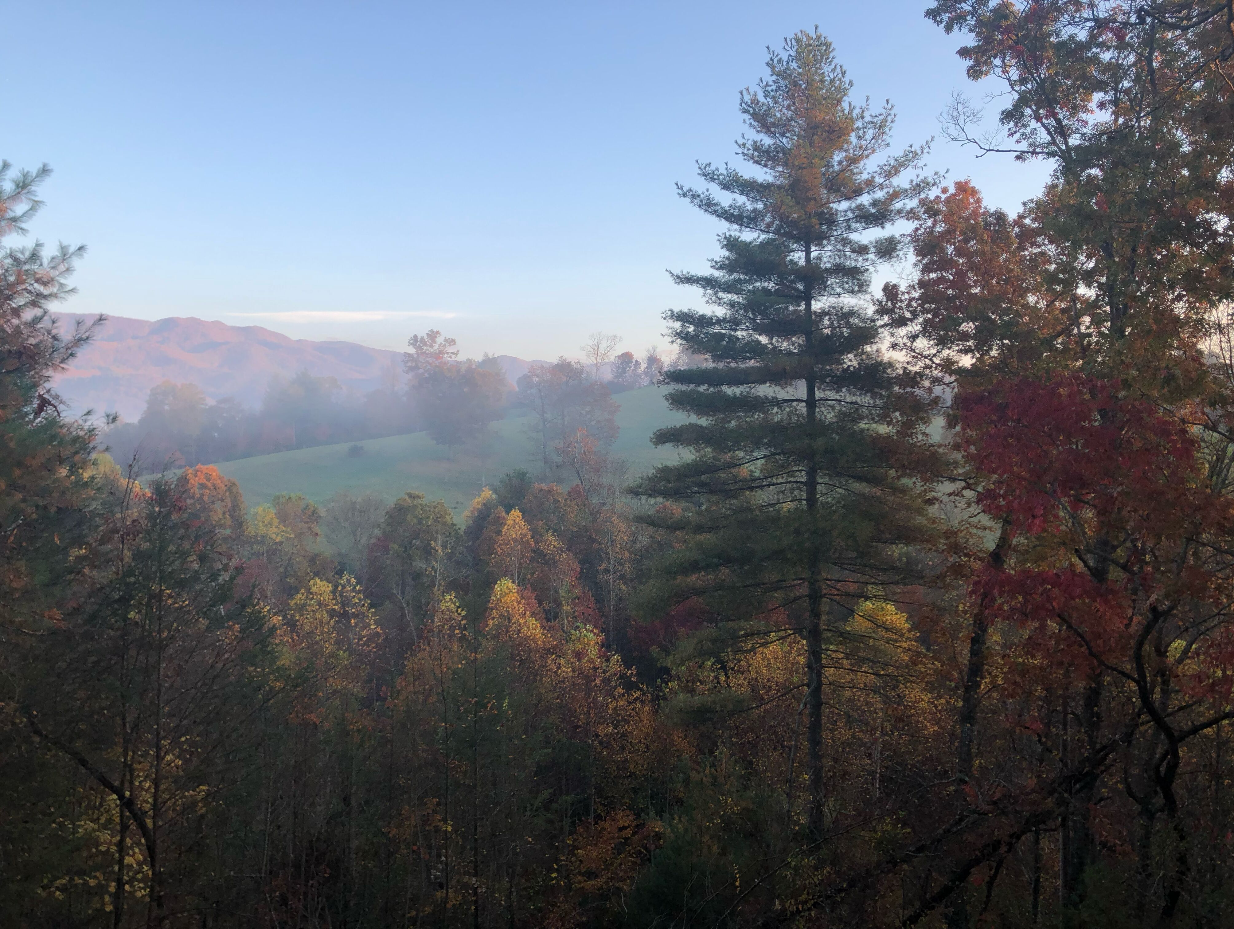 Picture of All of the Beautiful Nature