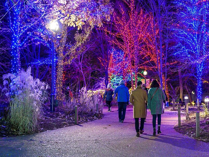 Picture of Lincoln Park Zoo