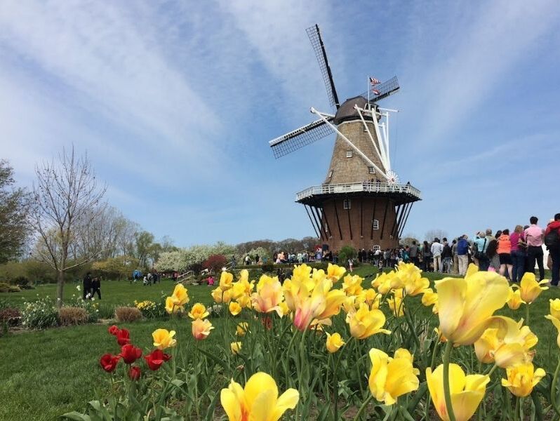 Picture of Windmill Island Gardens