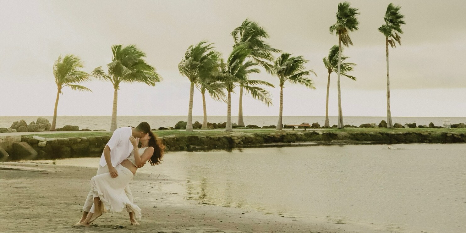 Emily & Fayez Home Page Banner