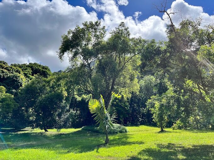 Picture of Hoʻomaluhia Botanical Garden