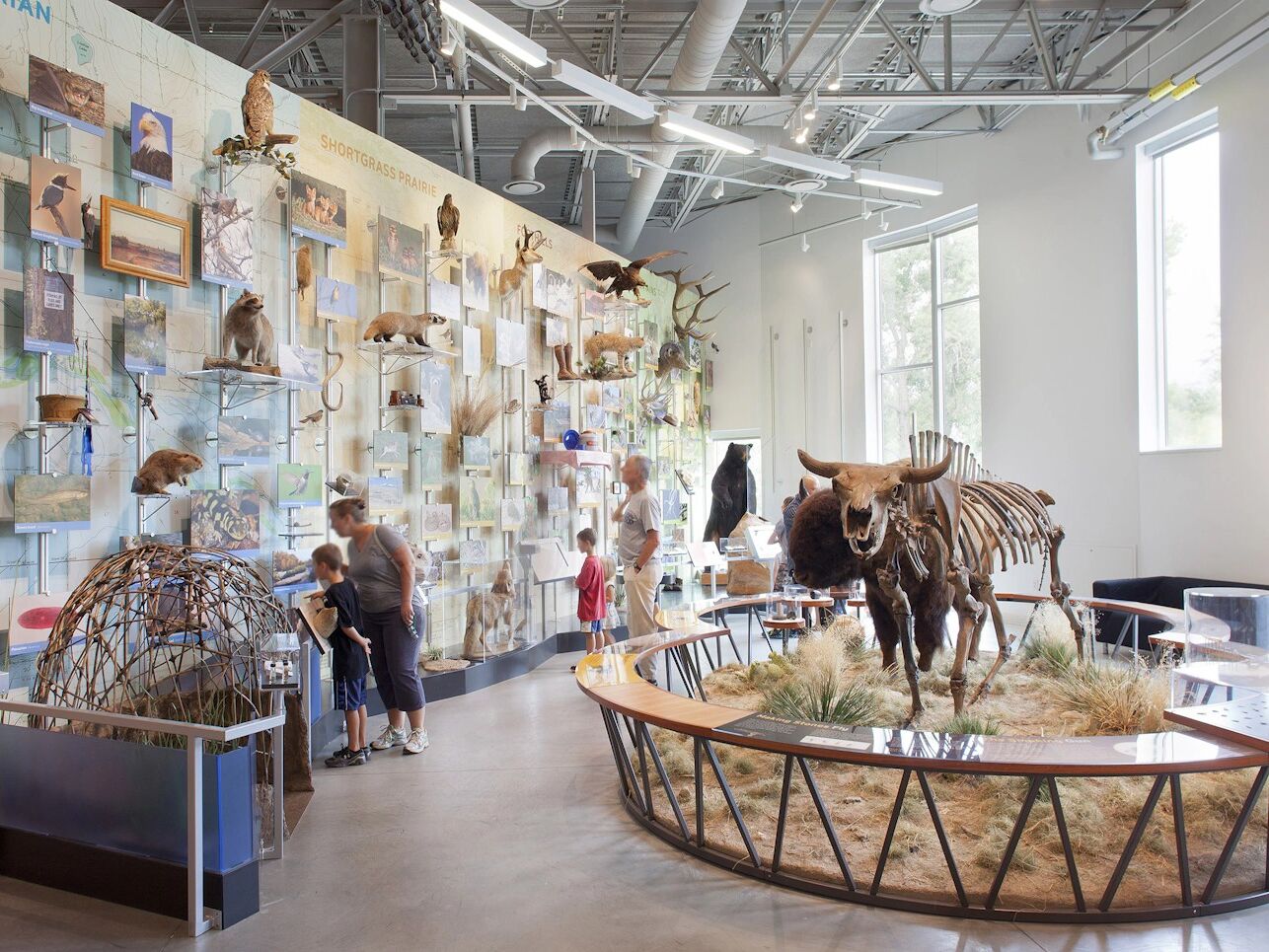 Picture of Fort Collins Museum of Discovery