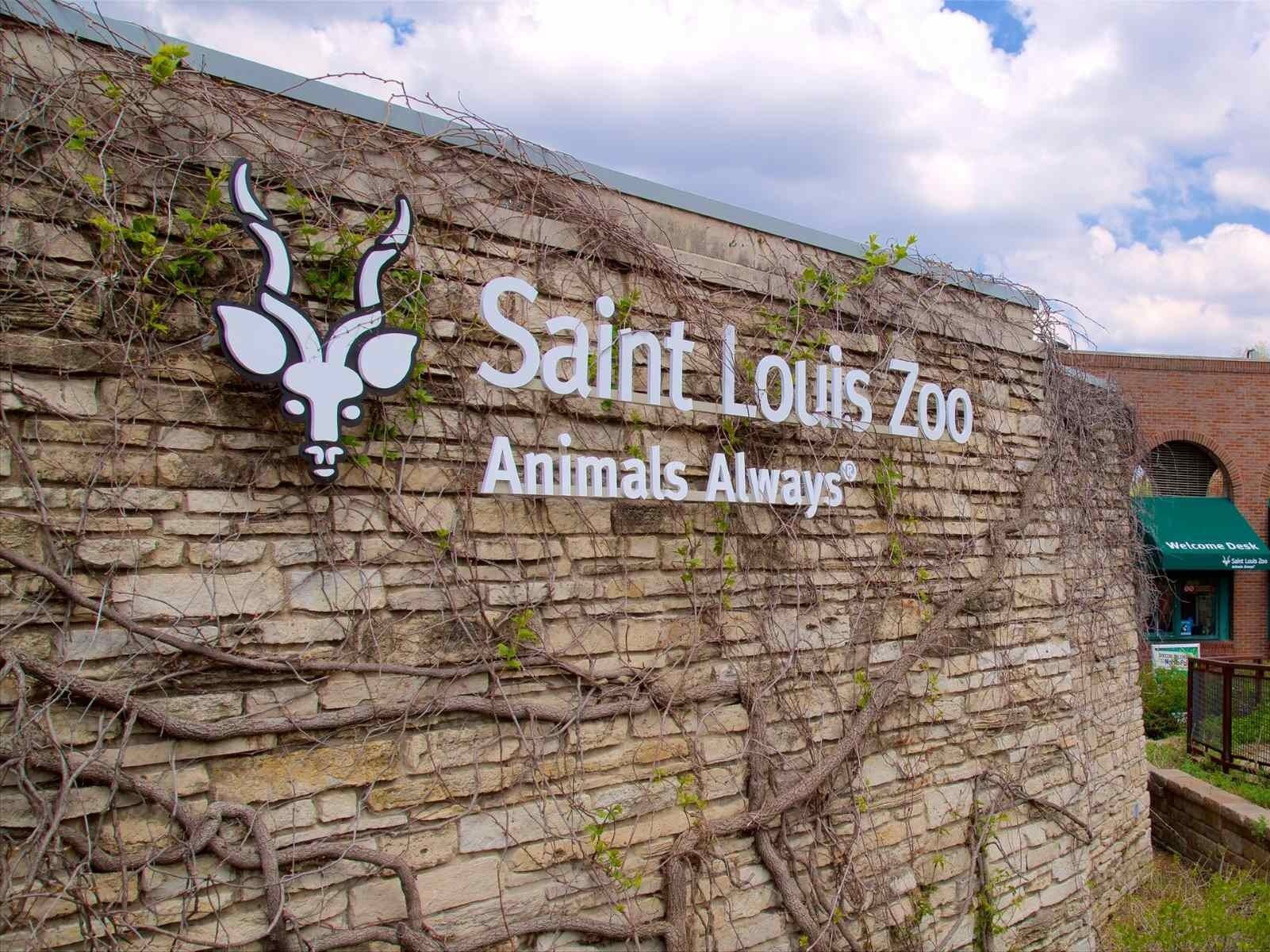 Picture of Saint Louis Zoo