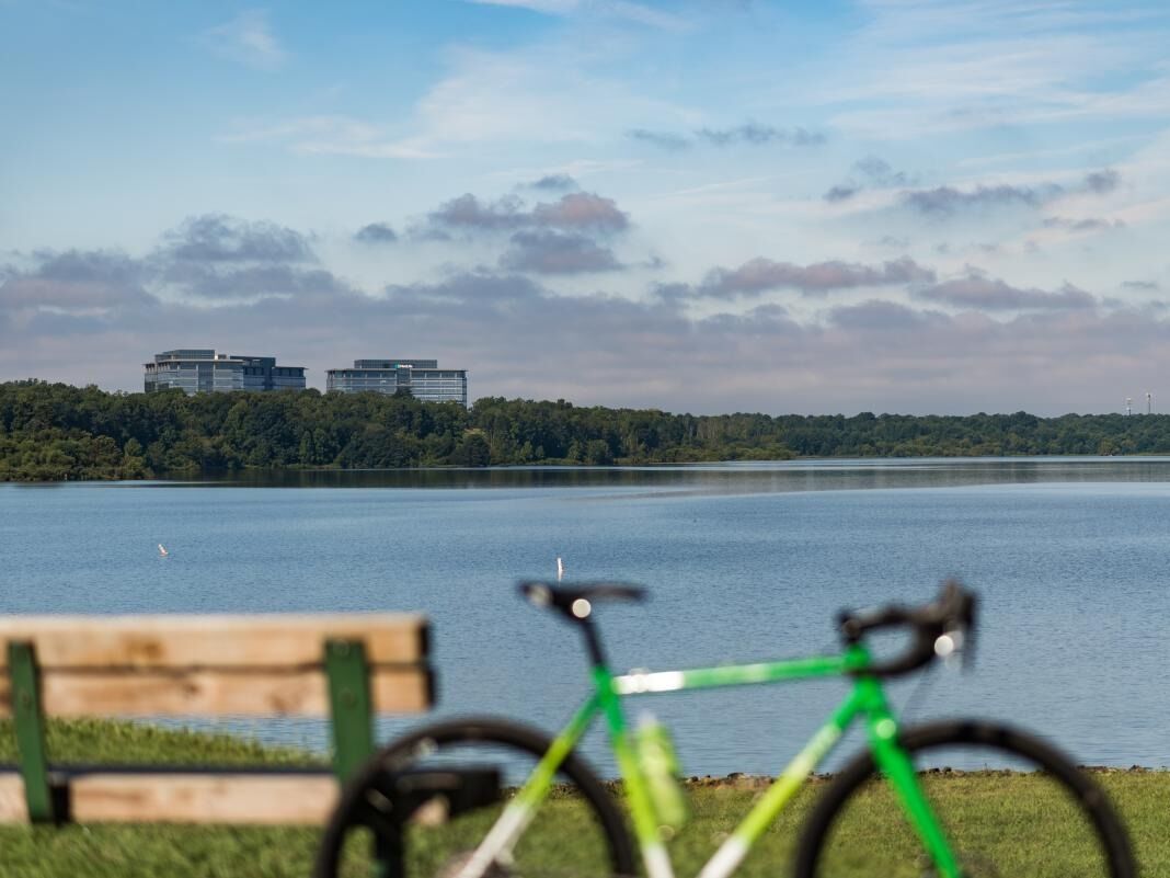 Picture of Lake Crabtree County Park