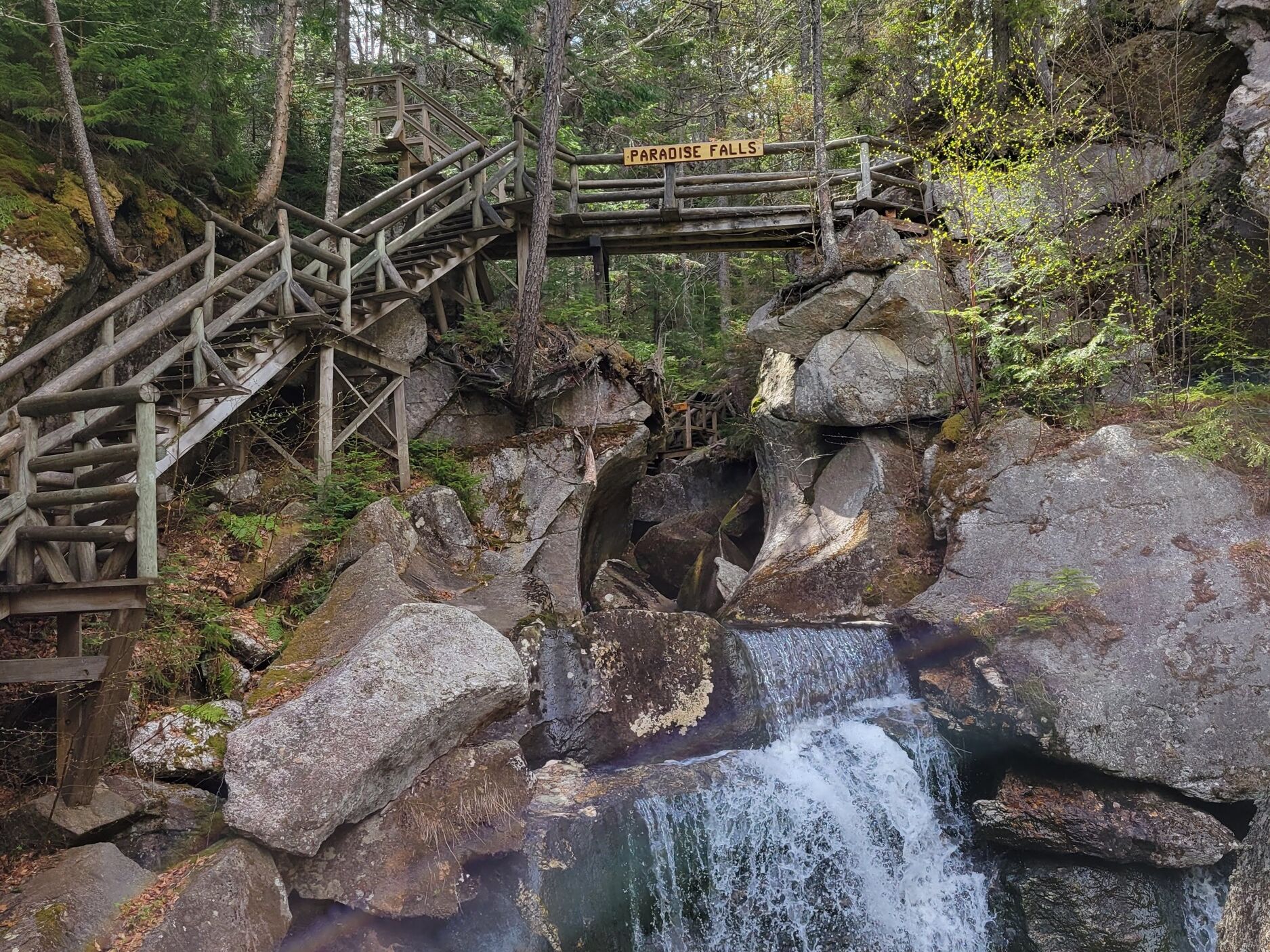 Picture of Lost River Gorge & Boulder Caves