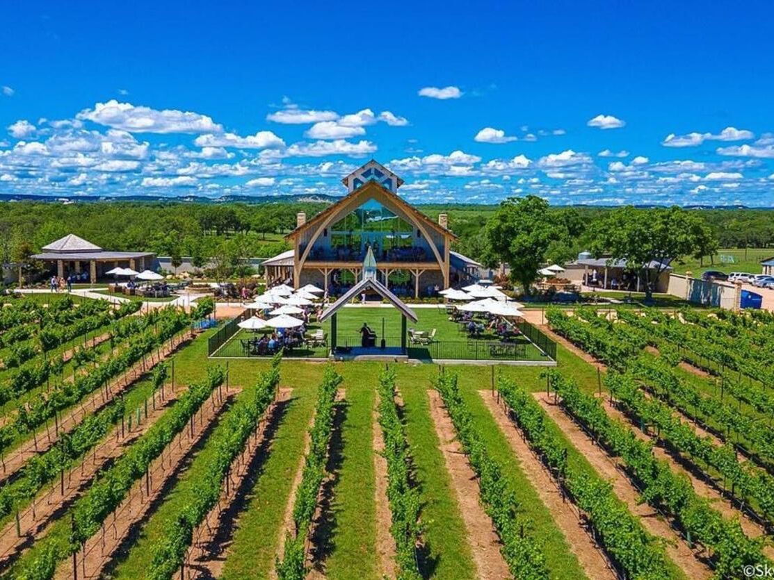 Picture of Augusta Vin