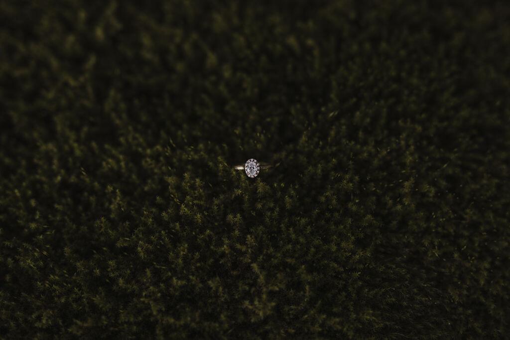 Album Photo 18