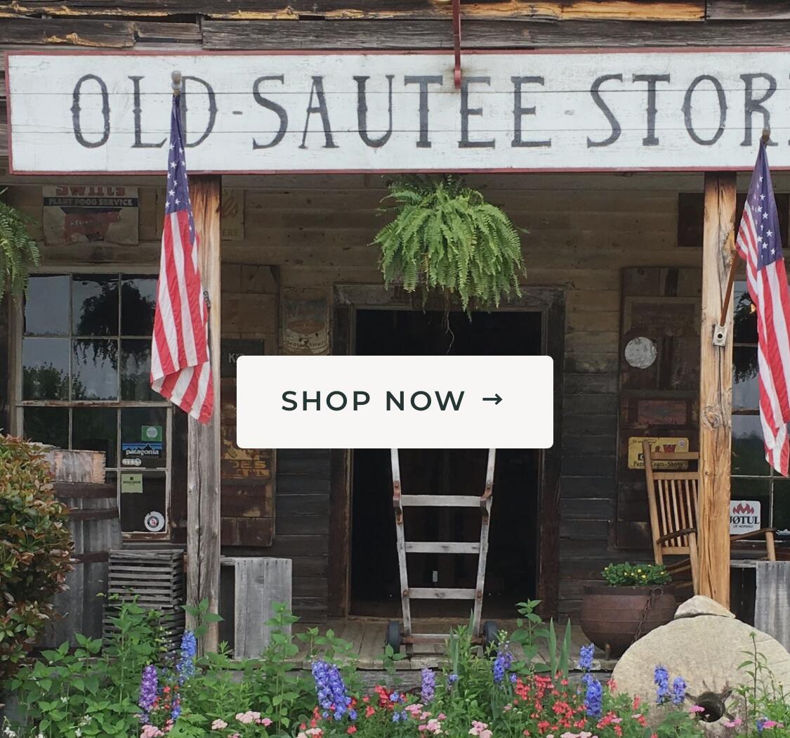 Picture of The Sautee store