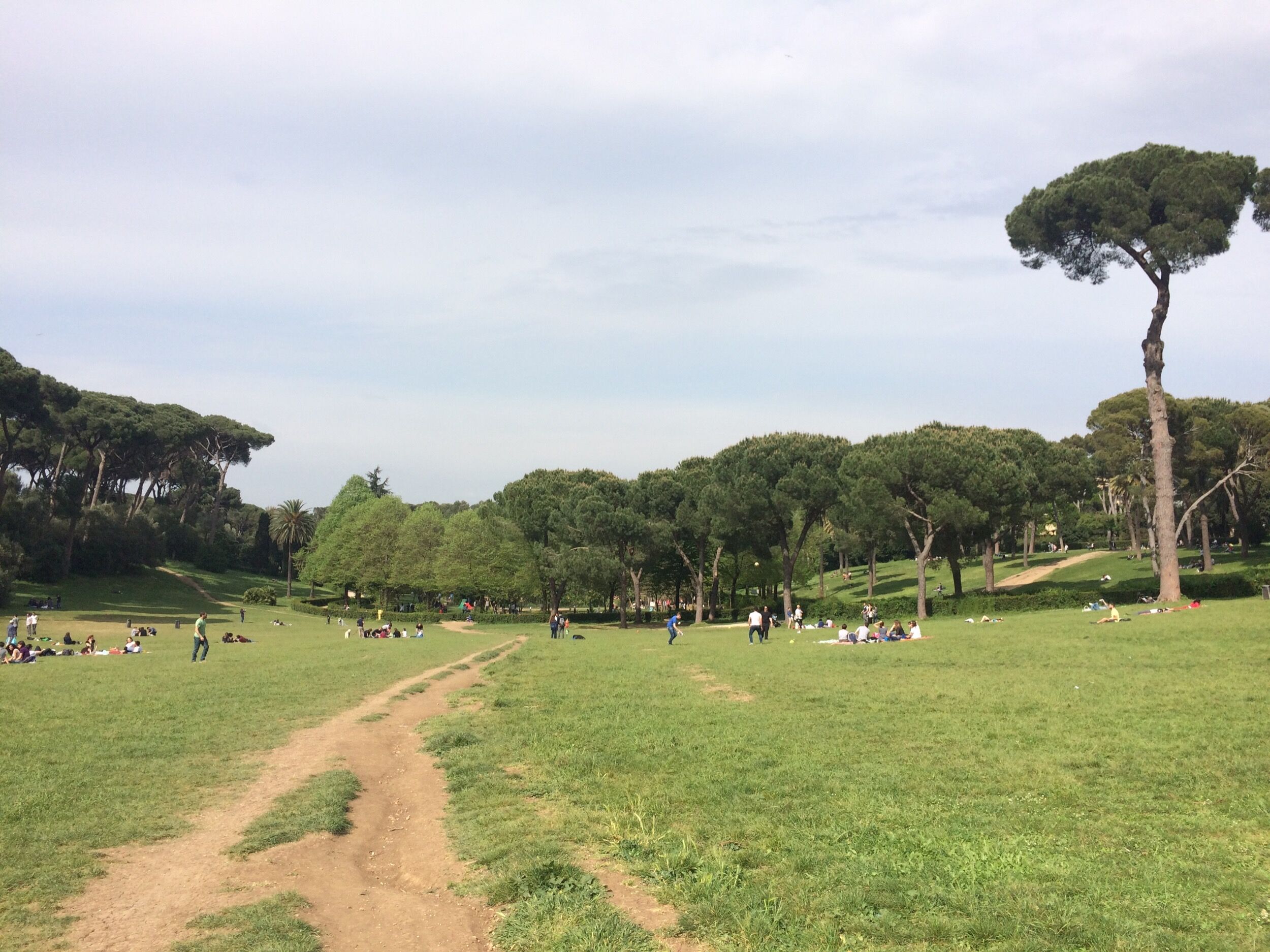 Picture of Rome 2015
